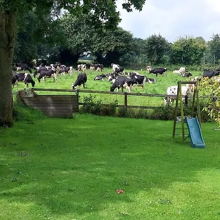 Maison Proche Hauteville-sur-mer Nyaraló Le Grand Cambry