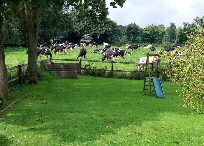 Maison Proche Hauteville-sur-mer Dom wakacyjny Le Grand Cambry