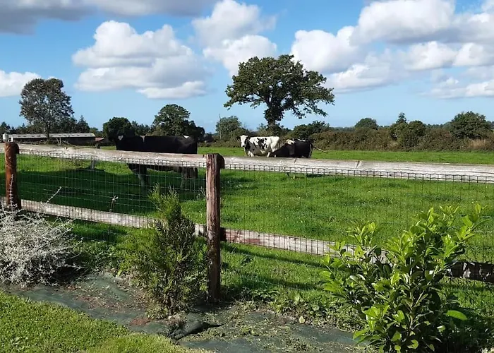Maison Proche Hauteville-sur-mer Dom wakacyjny